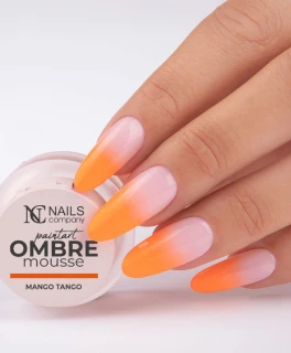 Gel pentru ombre si nail art Paintart Ombre Mousse Nails Company, Mango Tango, 2.5 g