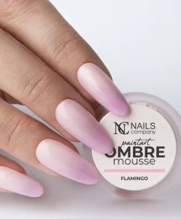 Gel pentru ombre si nail art Paintart Ombre Mousse Nails Company, Flamingo, 2.5 g